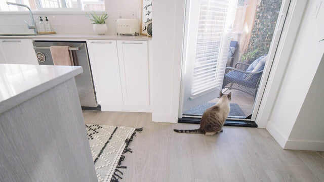 Moustiquaire rétractable Phantom Legacy MESH LOCK Installée